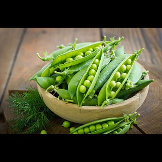 10Gr Hạt Giống Đậu Hà Lan (A2.303| Y25*W23*M030)