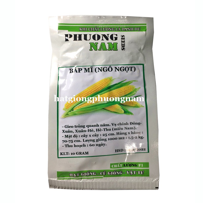  10GR - HẠT GIỐNG BẮP MĨ - NGÔ NGỌT