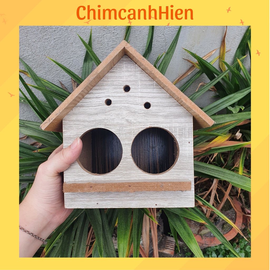 Tổ đẻ cho chim yến phụng