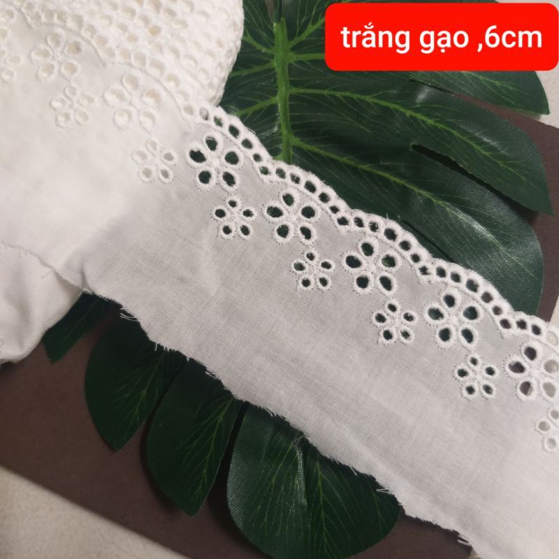 Ren thô boi  , size 6 cm đến 13cm