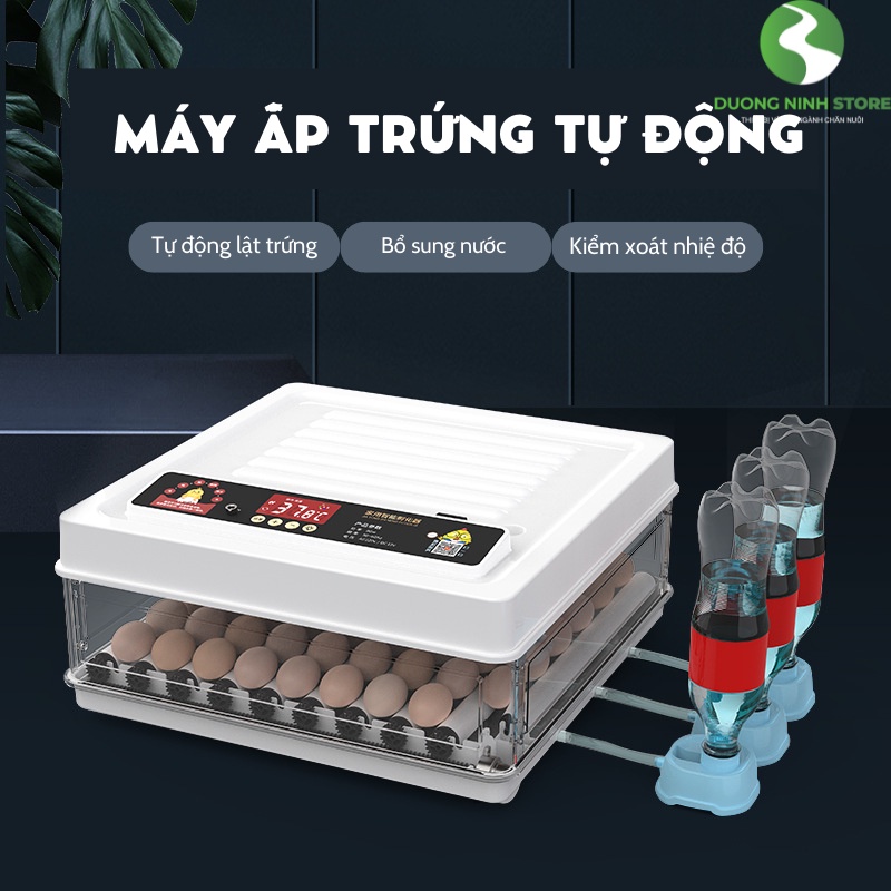 Máy ấp trứng gà tự động mini đảo trứng thay nước DN63