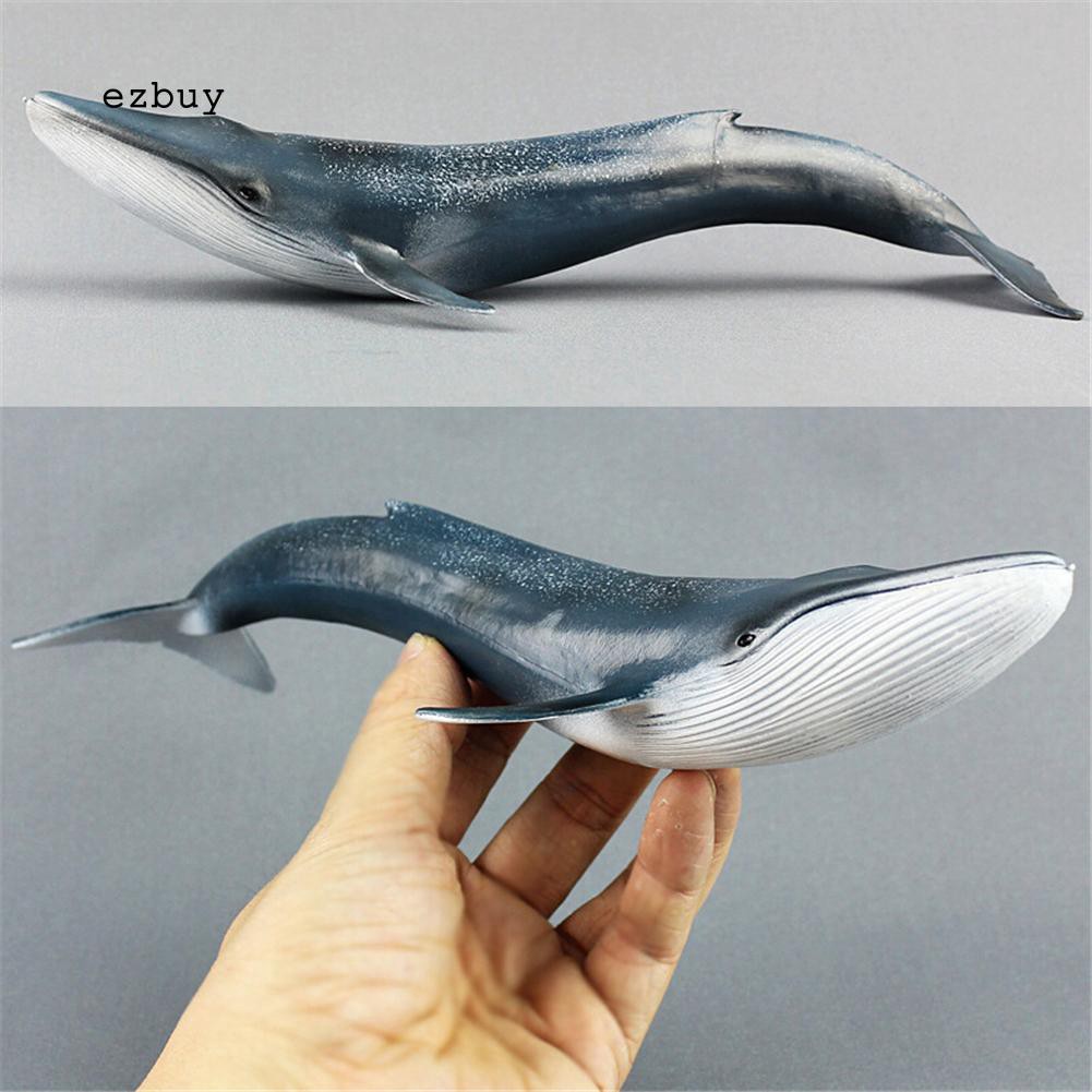 Mô Hình Cá Voi Đại Dương Bằng PVC 27cm Dành Cho Bé Yêu