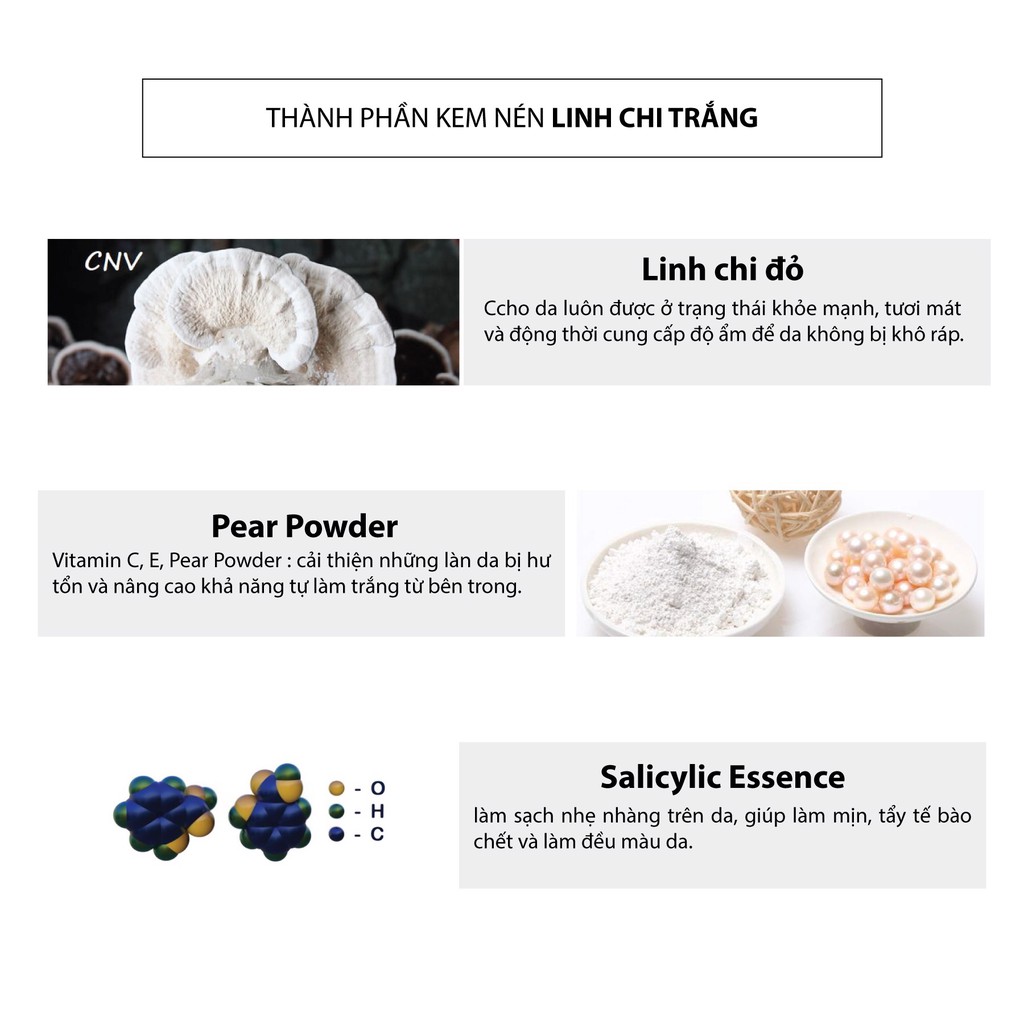 Kem nén Linh Chi trắng Oshirma ngăn ngừa và làm mờ nám và chống nắng 10g | BigBuy360 - bigbuy360.vn