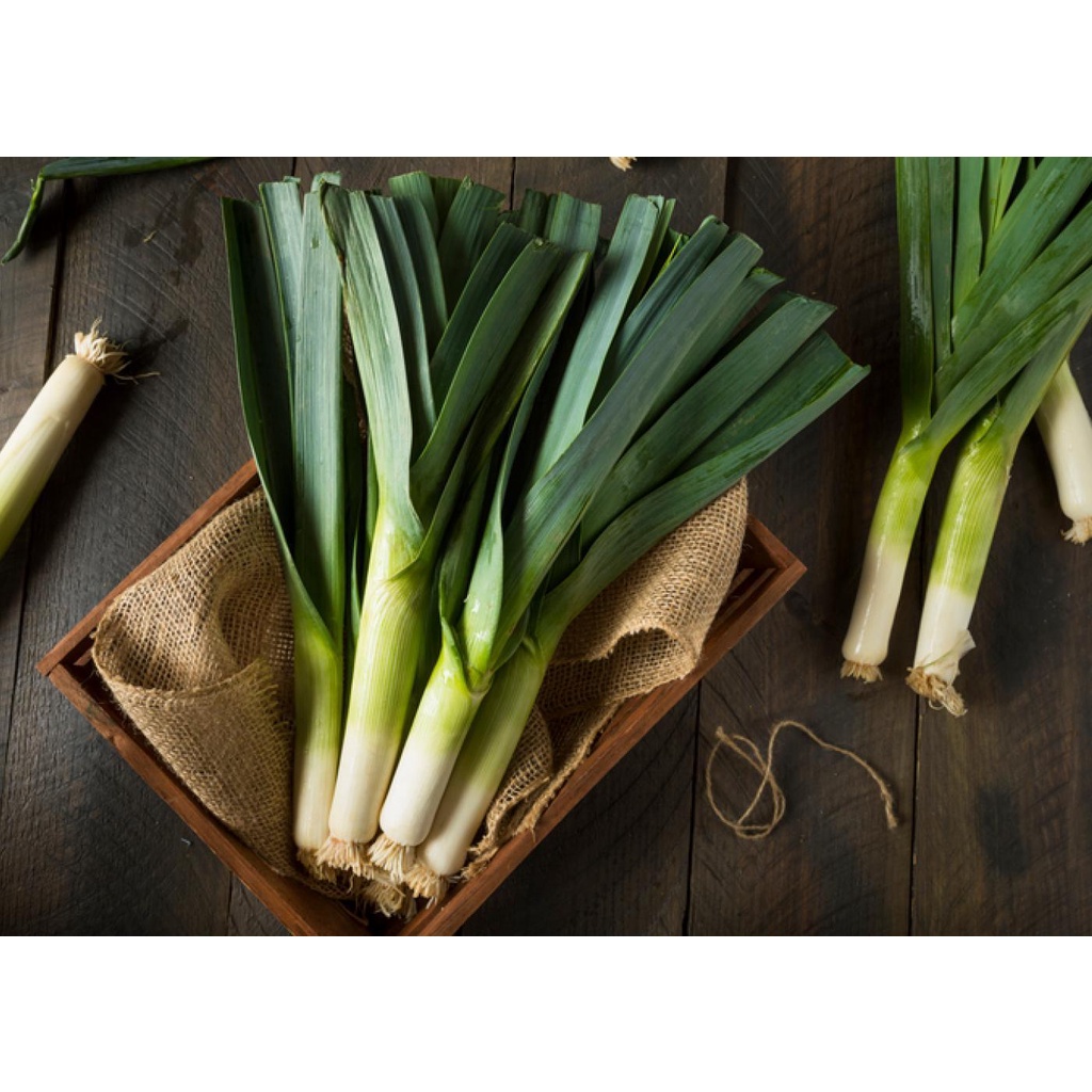 HẠT GIỐNG TỎI TÂY GÓI 5G -  SINH TRƯỞNG VÀ PHÁT TRIỂN KHỎE