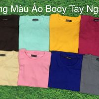 Áo thun gân tay ngắn, áo thun nữ babytee body dáng chuẩn -Lylyna A01
