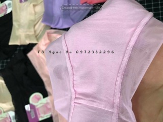 Combo 10 quần lót bầu