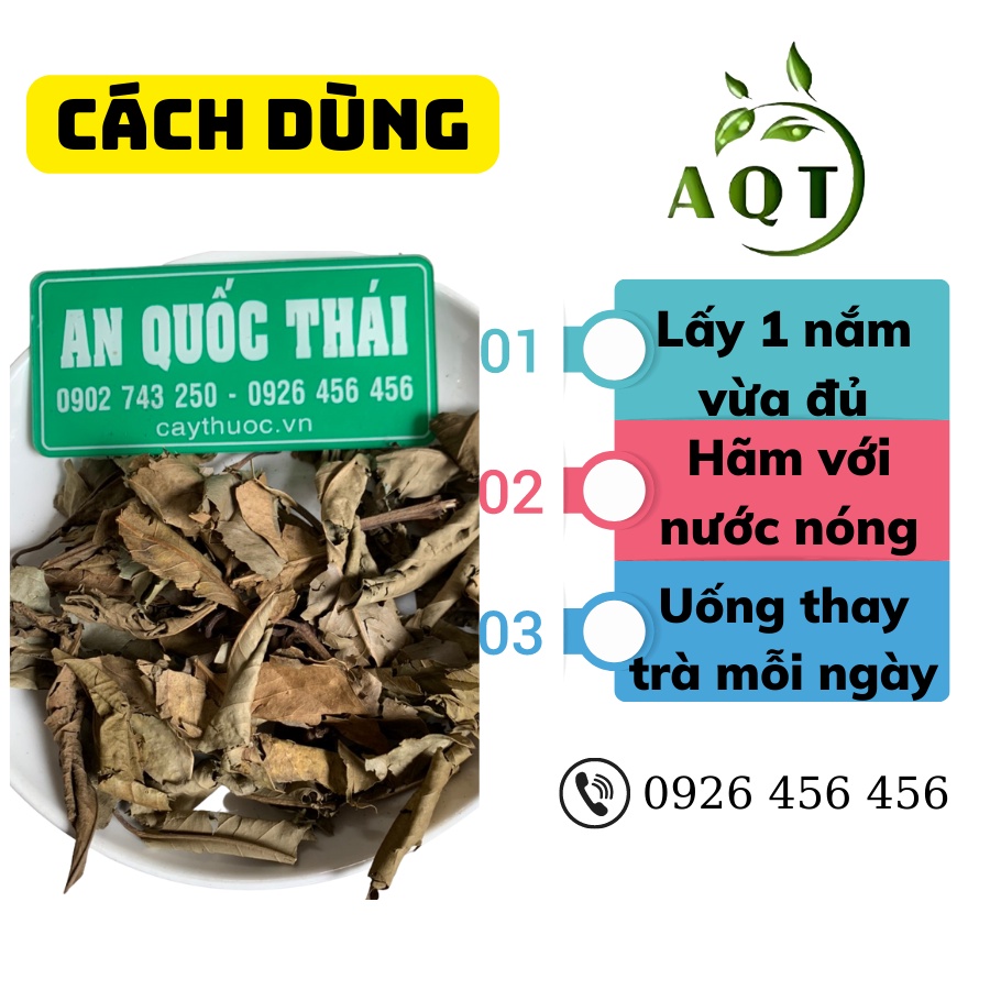 Lá Vối Nếp 500g [Sạch, Nguyên Chất] Hỗ Trợ Bệnh Gút, Tiểu Đường, Lá Vối Khô Tự Nhiên Giúp Thanh Nhiệt, Lợi Sữa