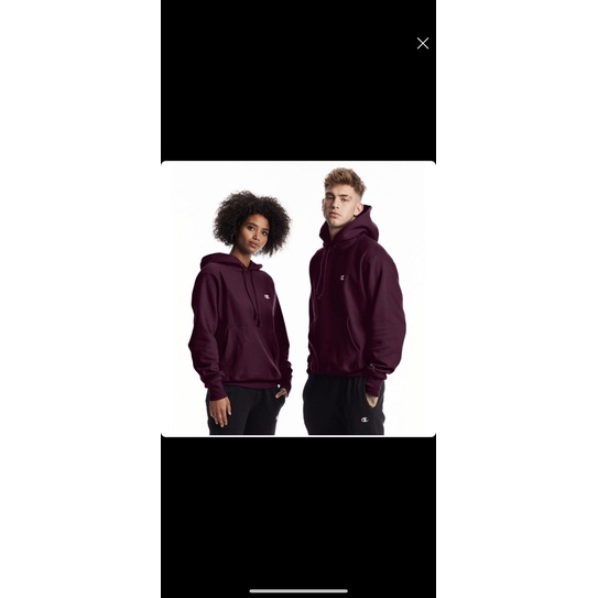 hoodie champion
