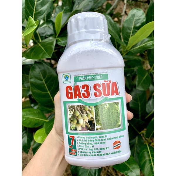 GA3 Sữa phân PMC-GIBER phân bố vi lượng có chất điều hoà sinh trưởng