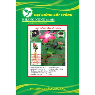 Hạt giống cây nhân sâm bố chính kns3708 - gói 10 hạt