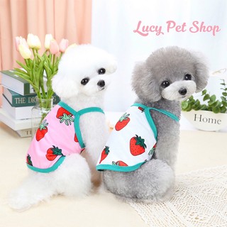 Áo hai dây quả dâu cho chó mèo xinh xắn đáng yêu thời trang thú cưng