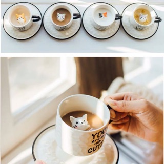 [] Cốc nước con mèo(ảnh thật cuối cùg)