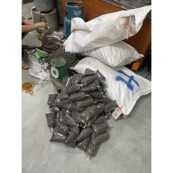 200gr  Hạt giống hoa cánh bướm sao nhái đảm bảo lên