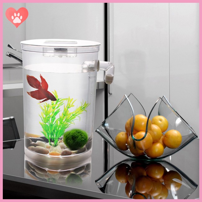 Ecological Fish  Bowl Slacker Desktop Case Self-cleaning Aquarium Mini Fish
