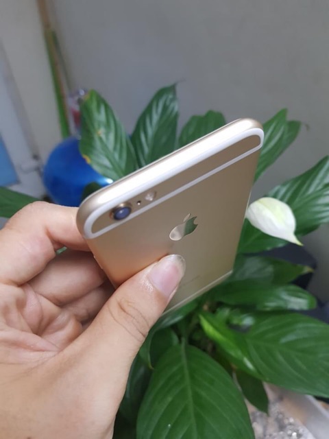 Điện thoại iPhone 6 quốc tế (16Gb,32GB,64GB)- keng zin + phụ kiện ( và iPhone 5 quốc tế keng zin