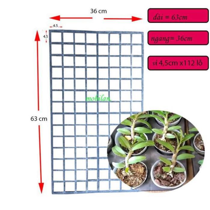 Khay (vỉ) đựng cốc trồng lan nuôi cấy mô - 112 ô
