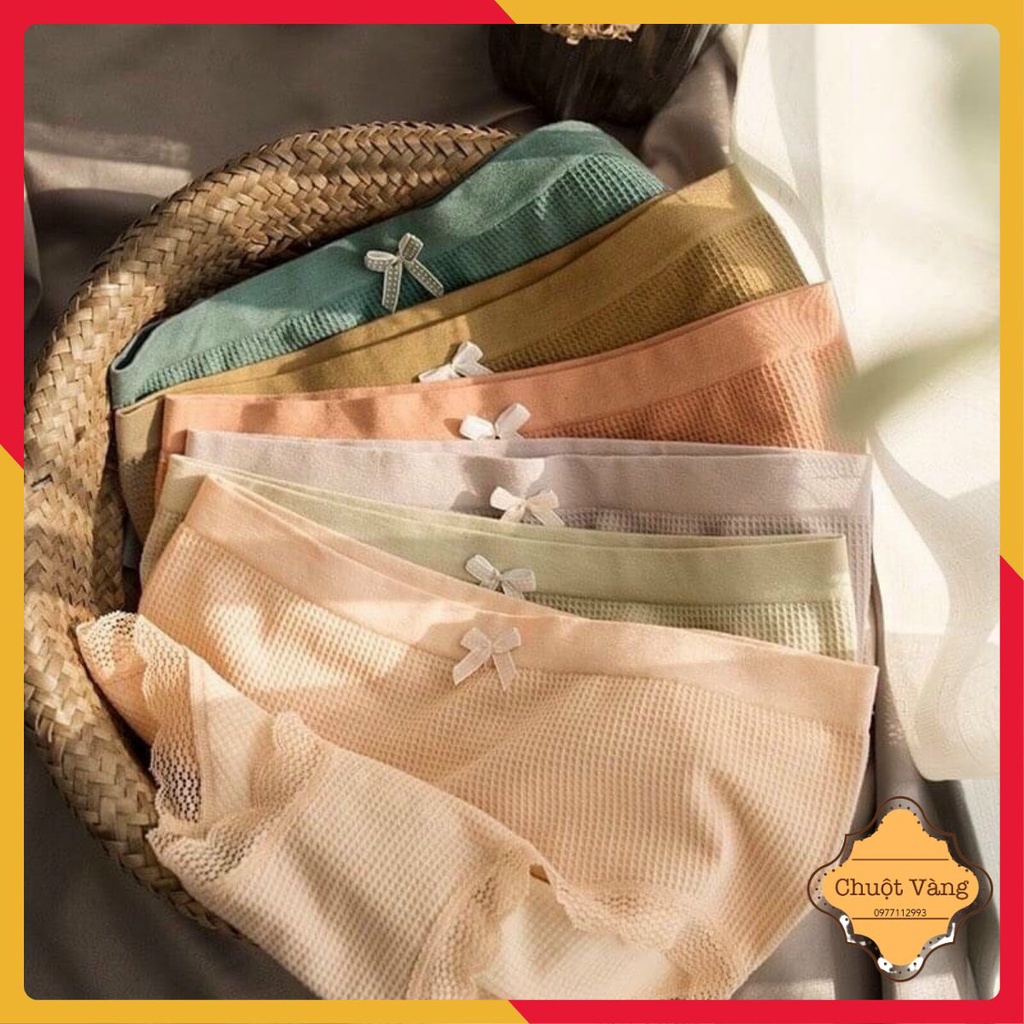 QUẦN LÓT COTTON THÔNG HƠI VIỀN REN THOÁNG MÁT