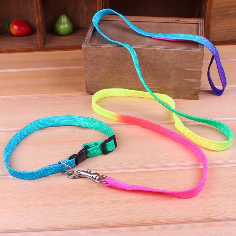 Dây Dắt Kèm Vòng Cổ 7 Sắc Cầu Vồng Cho Chó Mèo, Phụ Kiện Thú Cưng