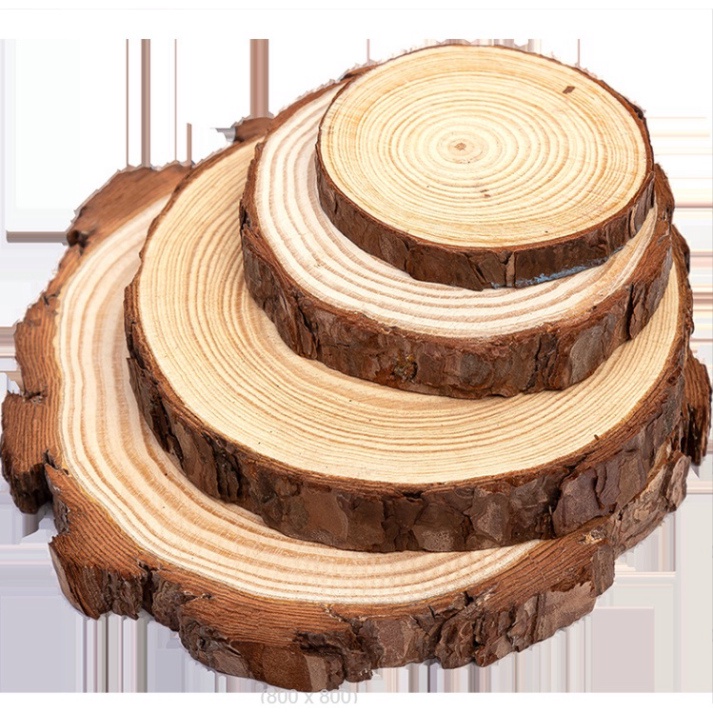 MIẾNG GỖ lót ly, nến decor bàn tiệc. lát gỗ thông phụ kiện chụp ảnh sản phẩm tinh dầu, mỹ phẩm, nến