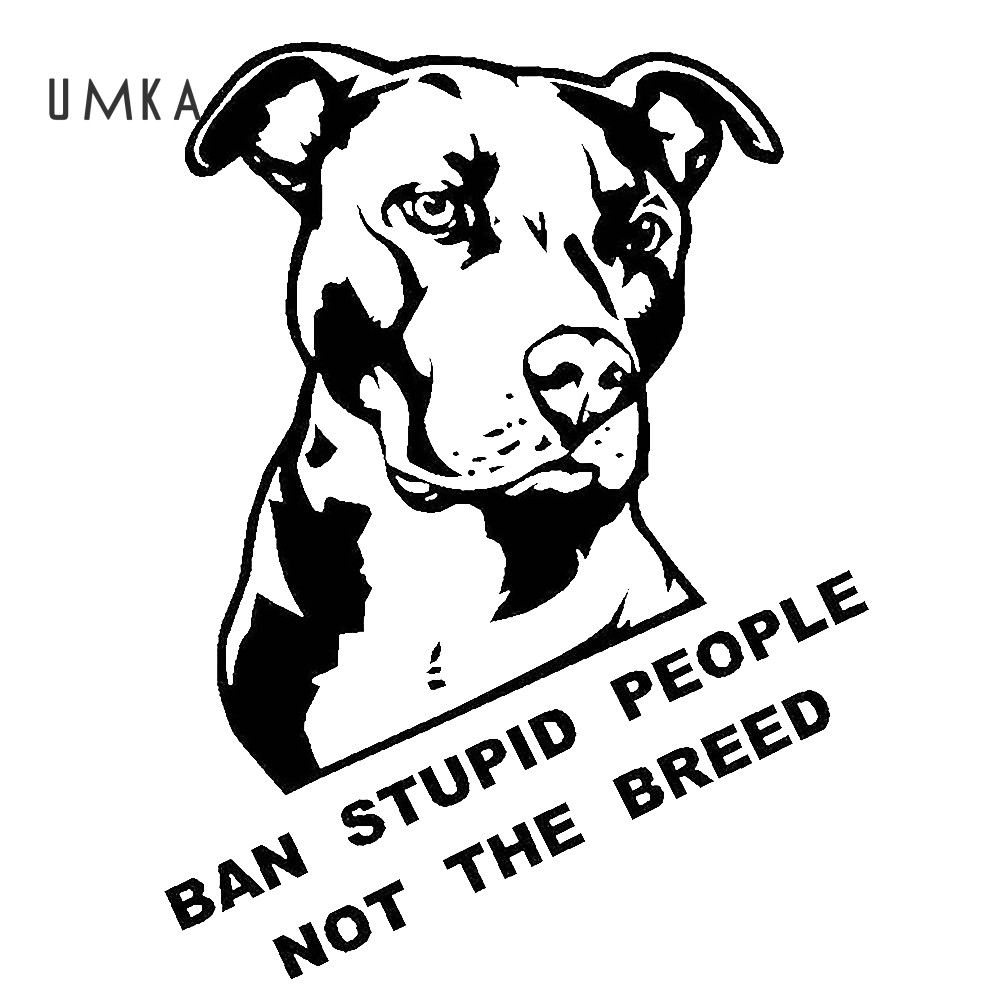 Miếng Dán Trang Trí Cửa Sổ Xe Hơi In Chữ "Ban Stupid People Not Breed"