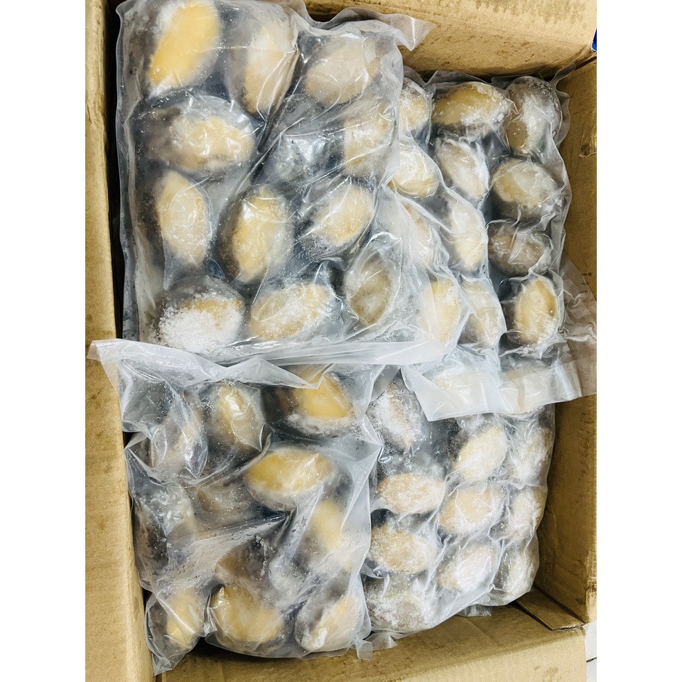 Giá sỉ Bào Ngư thùng xanh size 12/con 1Kg