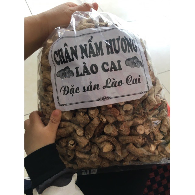 500g Chân Nấm Hương sạch Sa Pa loại 1 ngon, bổ, rẻ Rk83