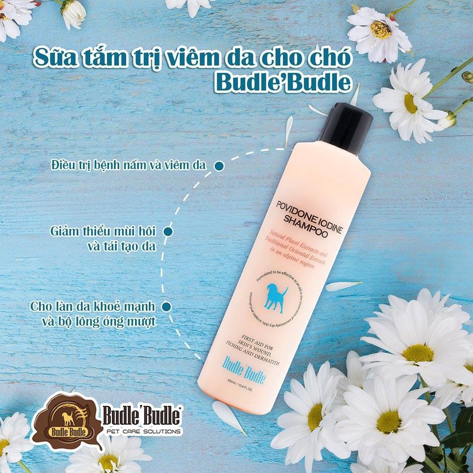 Sữa Tắm Trị Viêm Da Từ Thảo Dược Cho Chó Budle Budle Povidone Iodine Shampoo