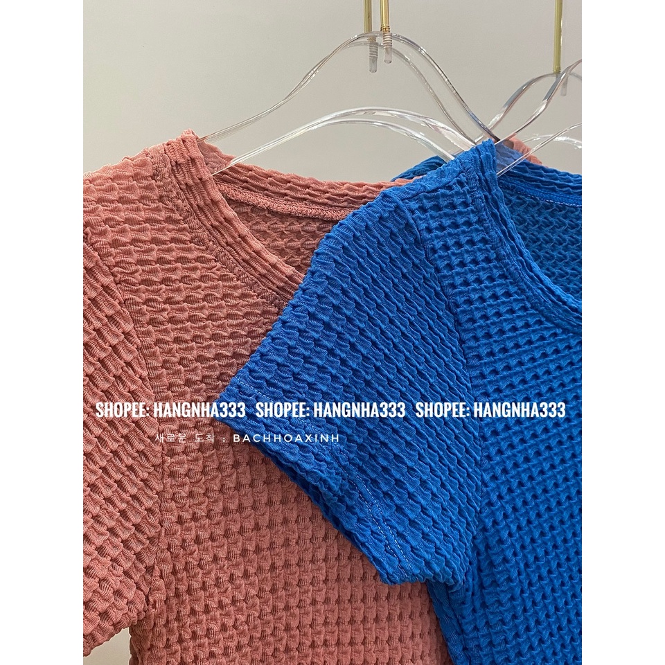 NEW || Áo thun ôm tay ngắn chất Xốp nhăn sang chảnh mỏng nhẹ Ulzzang