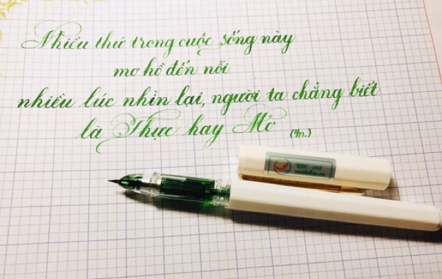 🌸 Bút luyện chữ đẹp Cánh Diều CD103 ngòi lá tre