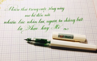 🌸 Bút luyện chữ đẹp Cánh Diều CD103 ngòi lá tre