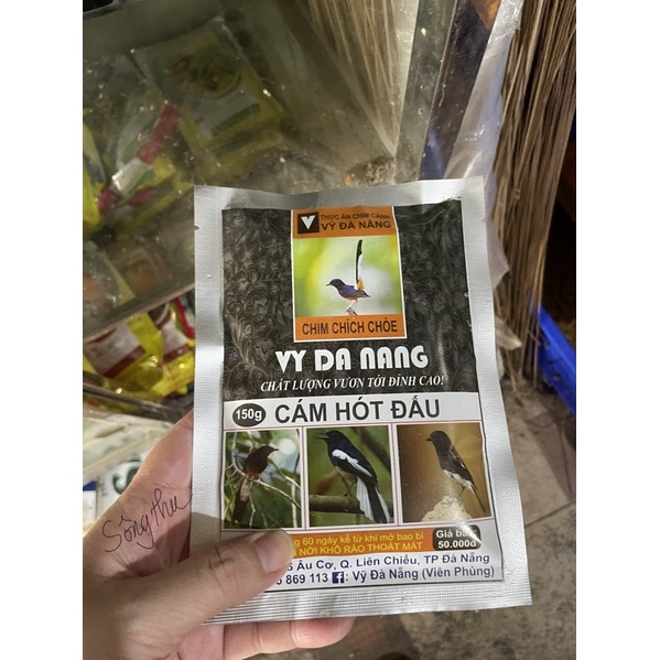 Cám choè hót đấu Vỹ đà nẵng