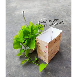 Túi giấy có quai  in hoa văn