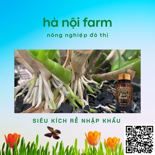 Bio Root MỸ kích rễ cực mạnh - 100ml