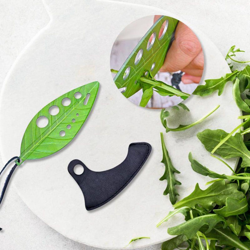 Dao Cạo Râu 9 Lỗ Bằng Thép Không Gỉ NICKOLAS