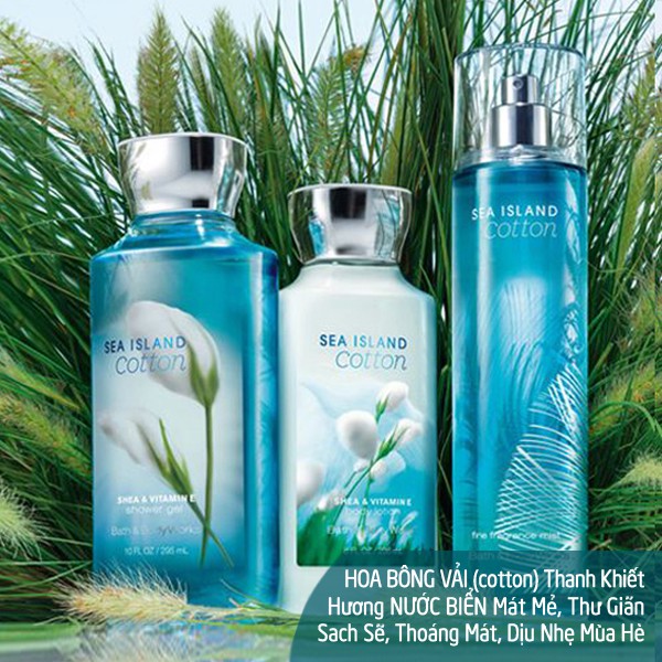 Xịt thơm toàn thân bodymist Bath & Body Works mùi Sea Island Cotton