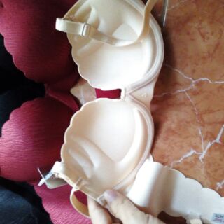 Áo đúc su gân cao cấp 331
