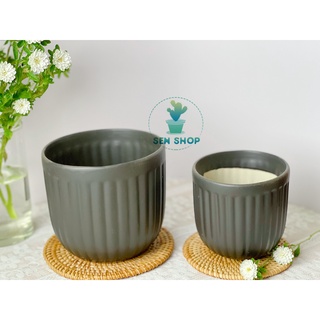 Chậu men trồng cây.