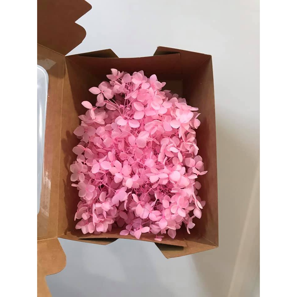 Hoa tú cầu khô về nhiều màu giá chỉ 90k