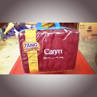 Mền nỉ có túi xách tiện dụng- quà tặng của tã caryn màu ngẫu nhiên