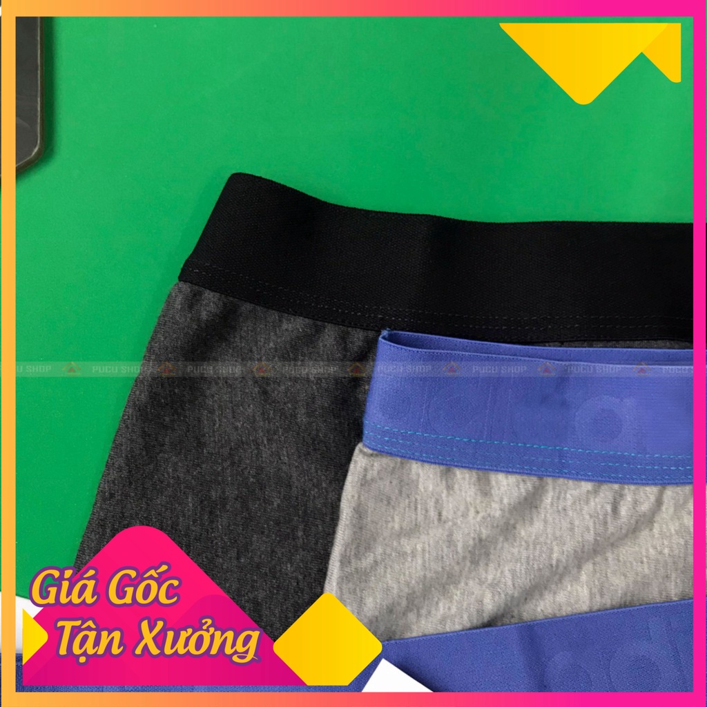 Quần Sịp Xì Đùi Nam Cao Cấp phom 50-85kg Chất Cotton Co Giãn 4 Chiều, 5 màu sắc ( SIPDUI)