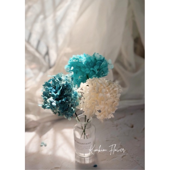Cẩm tú cầu khô, hoa khô decor, hoa khô trang  trí phòng