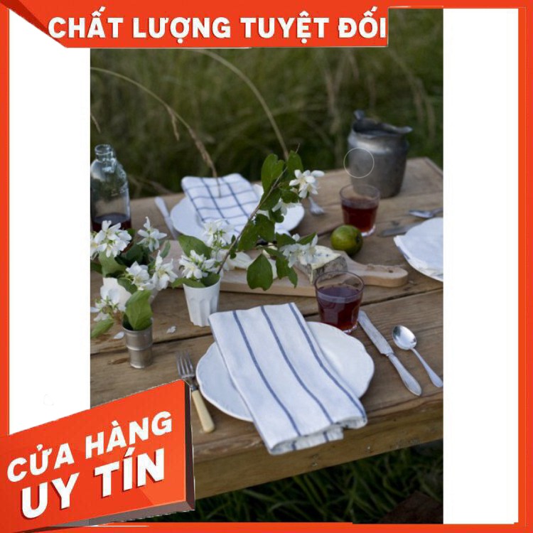 [ Hàng Chính Hãng ] Bộ 4 khăn lau bát Ikea Elly 65 x 50 cm