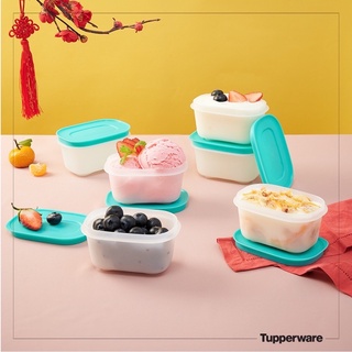 Bộ Hộp Đông dẻo Freezermate Gen II - Hàng chính hãng Tupperware Việt Nam phân phối.