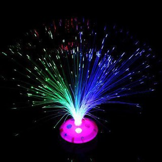 Đèn led bình hoa phát sáng sợi quang Sunha trang trí nhà cửa, phòng ngủ, nội thất CHOTO7379
