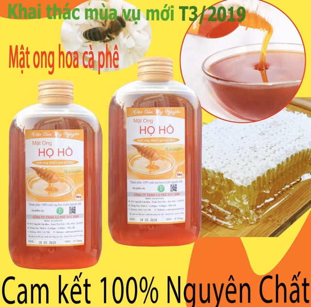 Combo 2 chai mật ong họ hồ 500ml