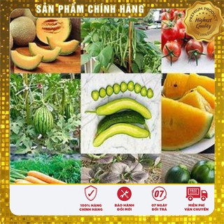 COMBO 10 loại hạt giống rau hạt giống dưa xà lách rau cải đậu bí ngòi củ cải