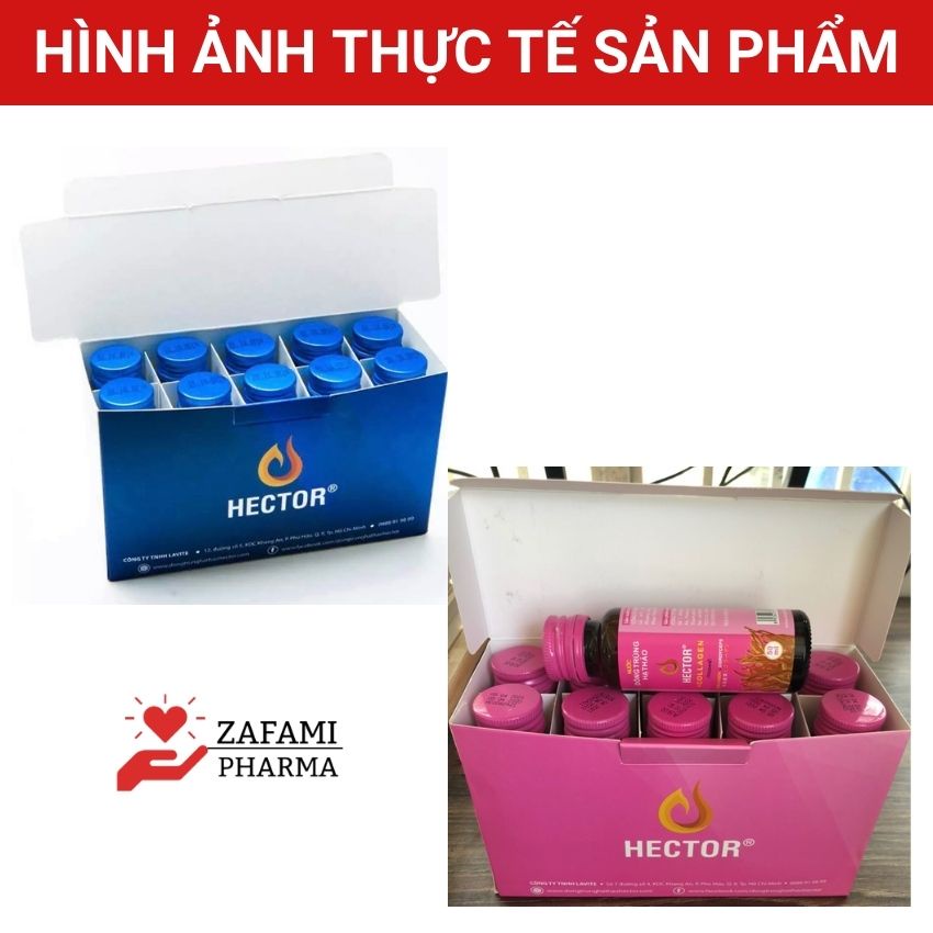 Hector Collagen đông trùng hạ thảo nước sâm đẹp da chính hãng bồi bổ sức khỏe  Unison Shop