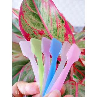 Combo 1000 que lấy kem body chỉ 350k