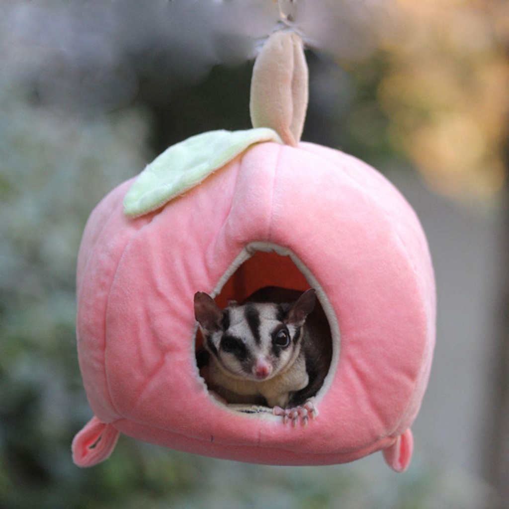 Lều Ngủ Hình Trái Cây Dễ Thương Cho Thú Cưng