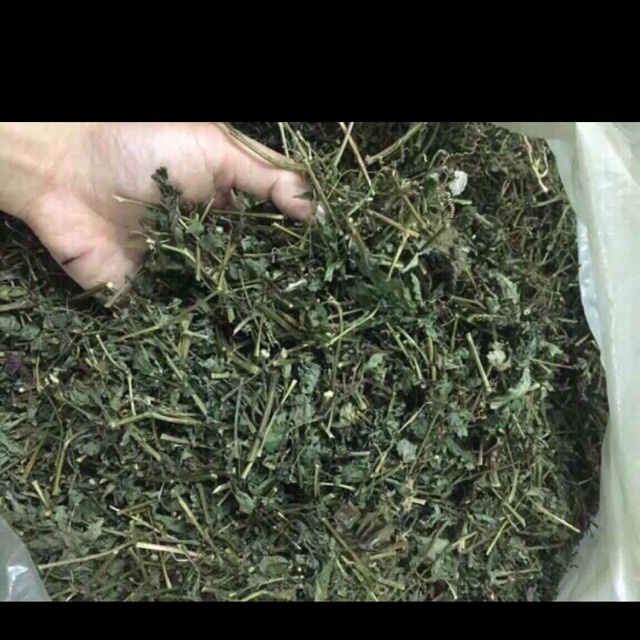 Giảo cổ lam 1kg